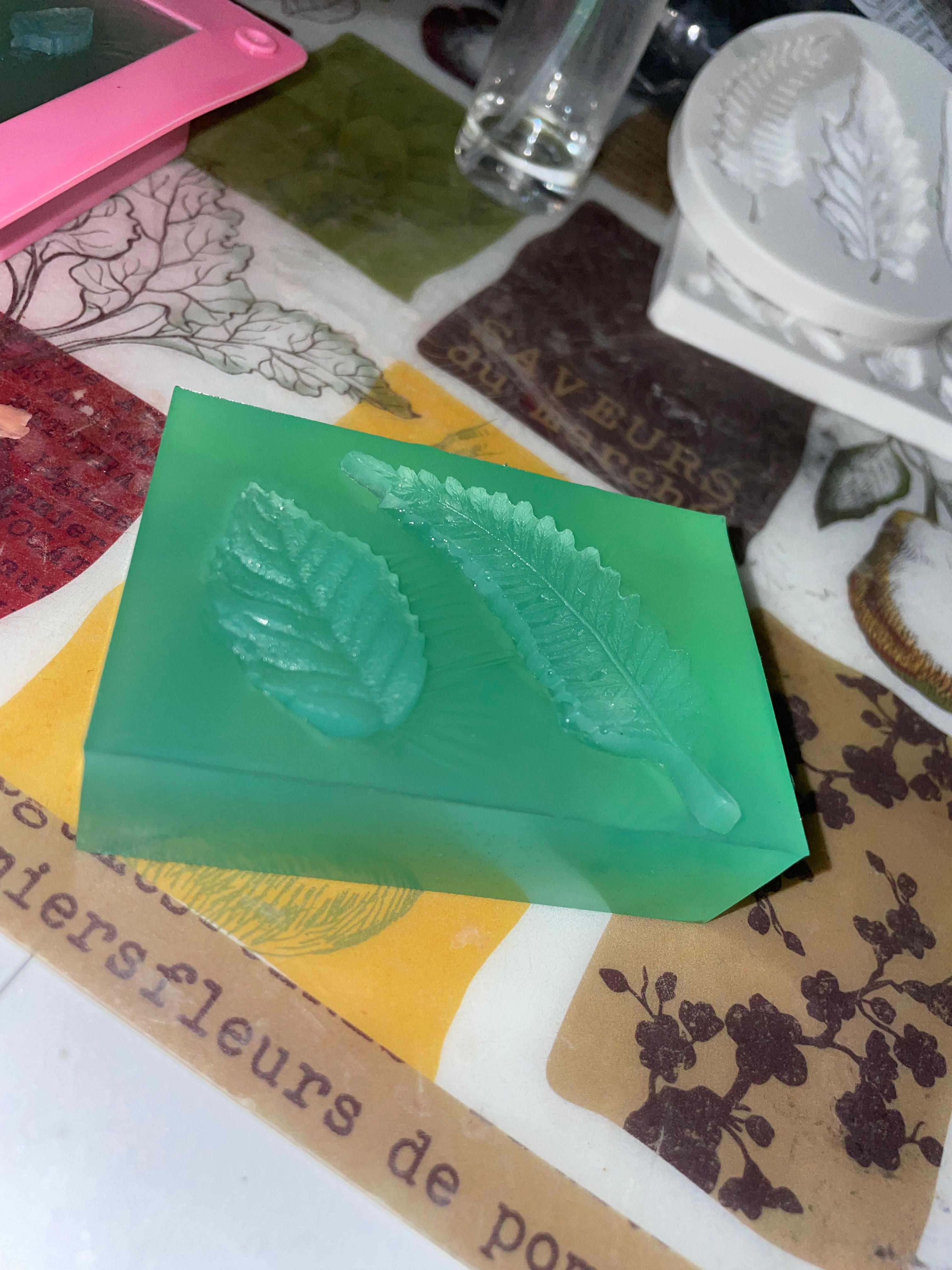 Sérénité d’Aloe | Aloe Serenity